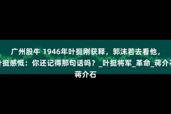 广州股牛 1946年叶挺刚获释，郭沫若去看他，叶挺感慨：你还记得那句话吗？_叶挺将军_革命_蒋介石