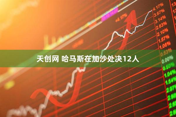 天创网 哈马斯在加沙处决12人