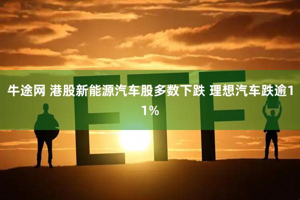 牛途网 港股新能源汽车股多数下跌 理想汽车跌逾11%