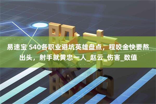 易速宝 S40各职业避坑英雄盘点，程咬金快要熬出头，射手就黄忠一人_赵云_伤害_数值