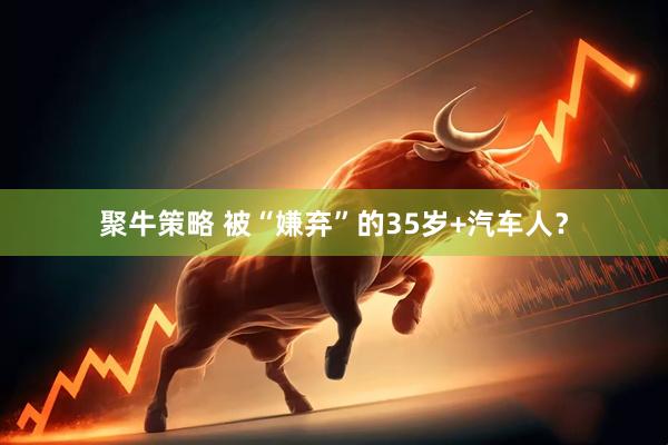 聚牛策略 被“嫌弃”的35岁+汽车人？