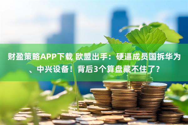 财盈策略APP下载 欧盟出手：硬逼成员国拆华为、中兴设备！背后3个算盘藏不住了？