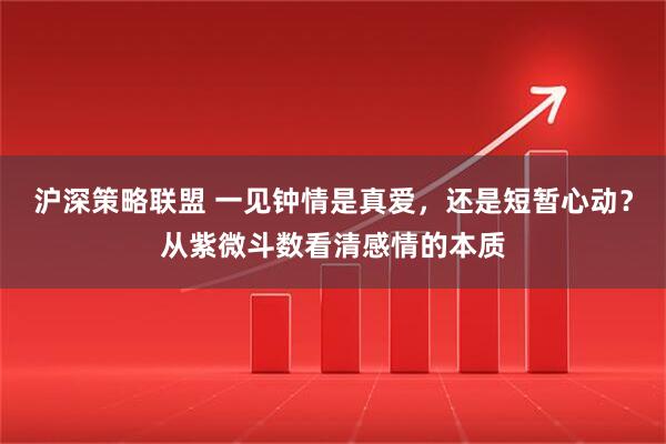 沪深策略联盟 一见钟情是真爱,还是短暂心动?从紫微斗数看清感情的本质